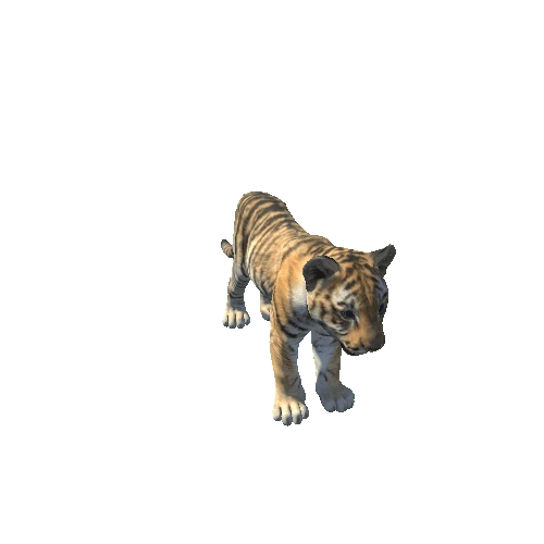 Tiger_Y_GrowMesh