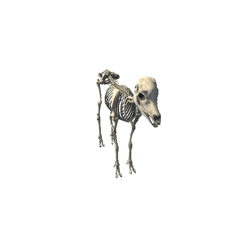 BighornSheep_Y_Bones_Prefab