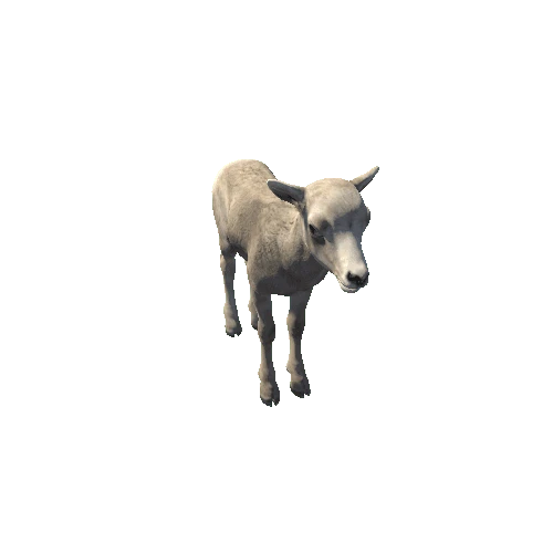 BighornSheep_Y_GrowMesh