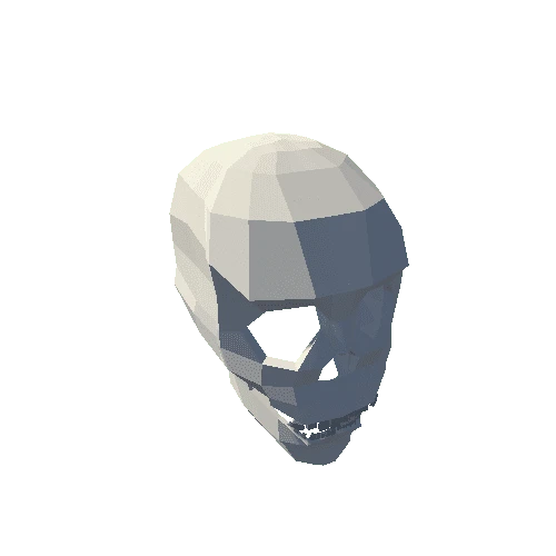 skull_type_01