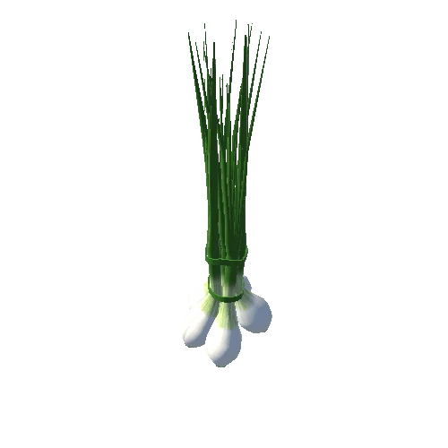 spring_onion_bunch