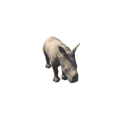 WhiteRhinoceros_Y_Prefab