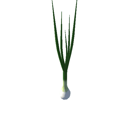 spring_onion