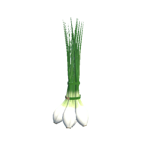 spring_onion_bunch