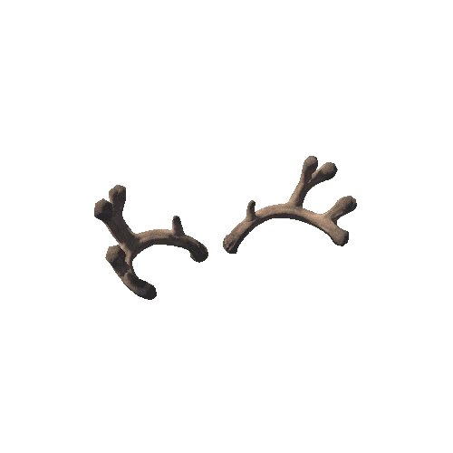 MuleDeer_Antlers_08_Prefab