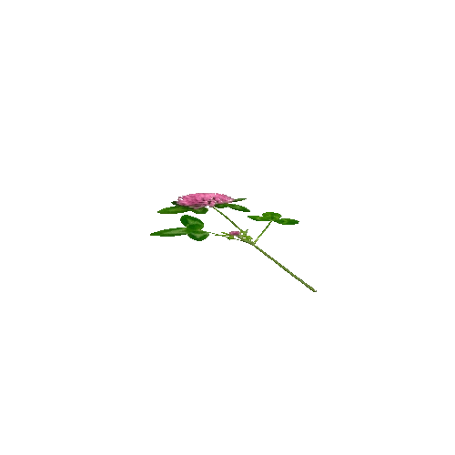 FlowerMesh01