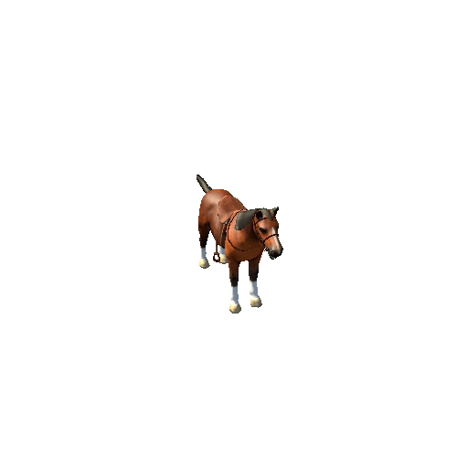 Horse_IP_01_HP