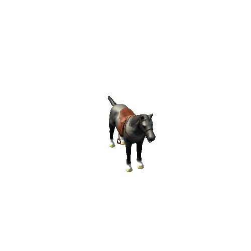 Horse_IP_01_HP_03