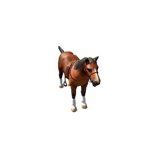 Horse_RM_01_LP