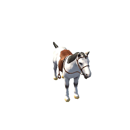 Horse_RM_01_LP_02