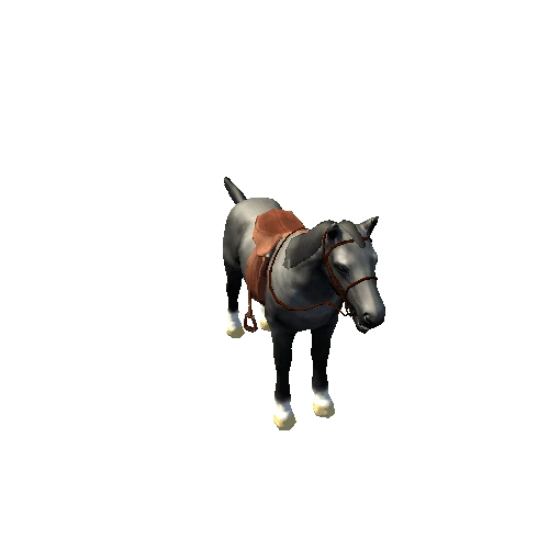 Horse_RM_01_LP_03