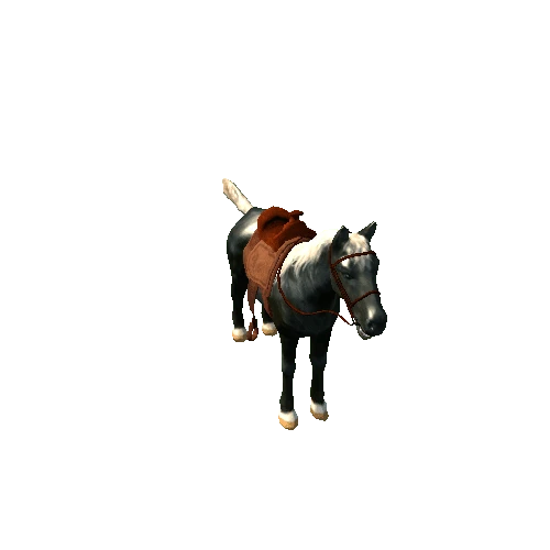 Horse_RM_02_HP_02