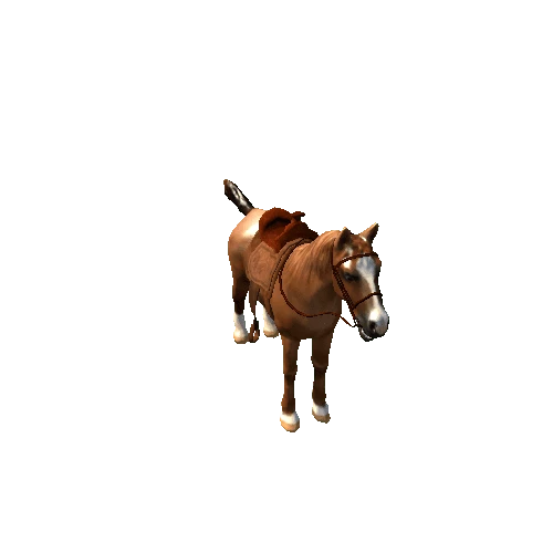 Horse_RM_02_HP_03