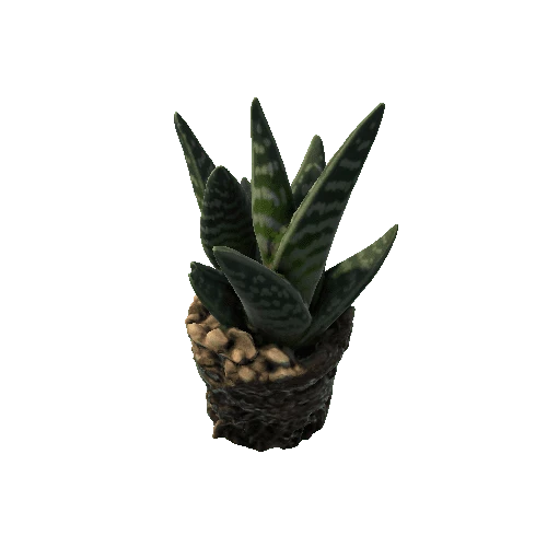 GASTERIA_lowFBX