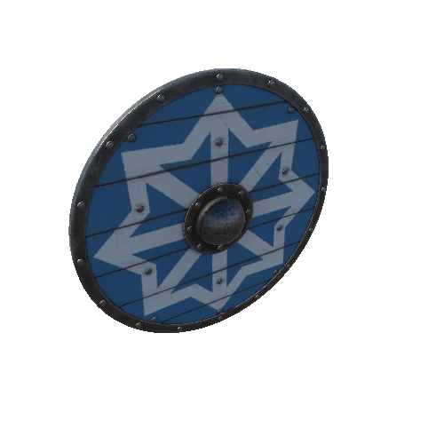 VikingShieldB06