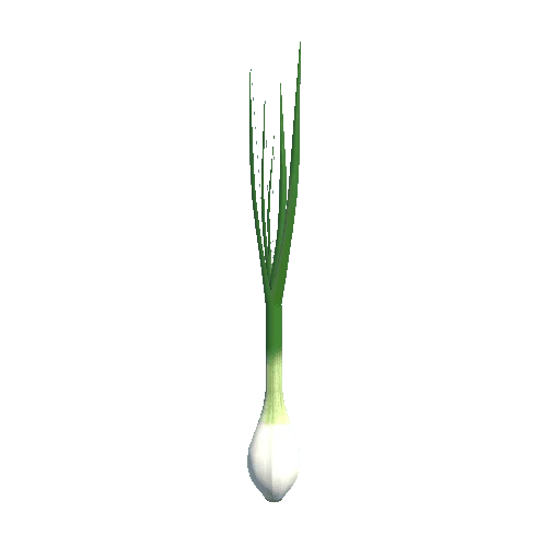 spring_onion