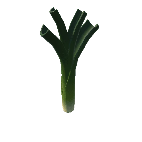 Leek