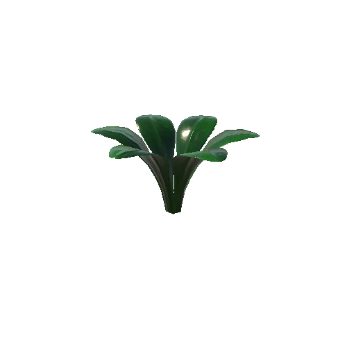 plant1