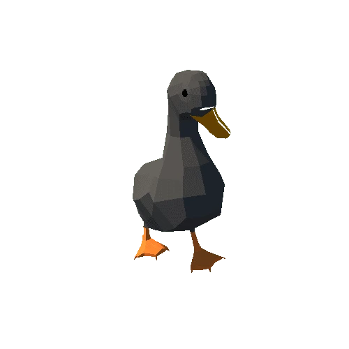 Duck_2