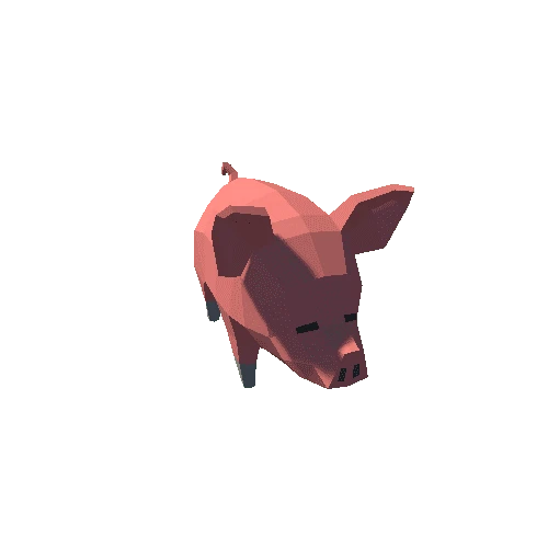 Pig_1