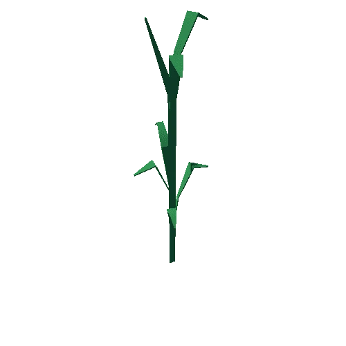 long_plant_1