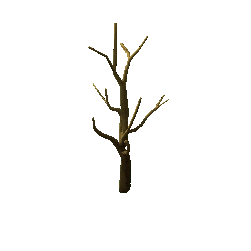 Dry_Tree_1A