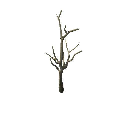 Dry_Tree_1C