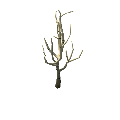 Dry_Tree_2A