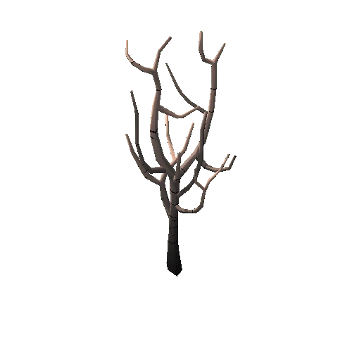 Dry_Tree_2B