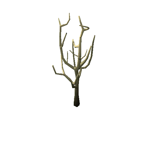 Dry_Tree_2C