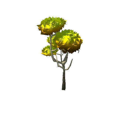 Forest_Tree_9C