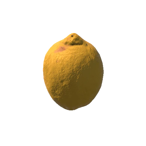 lemon_FBX