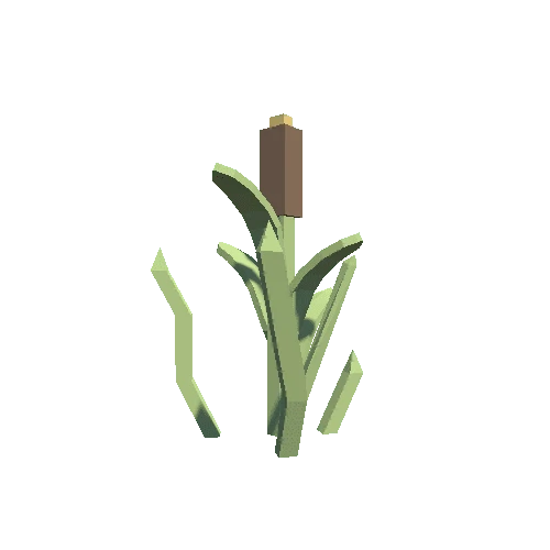 plant_15