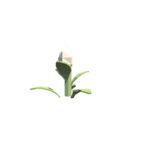 plant_18