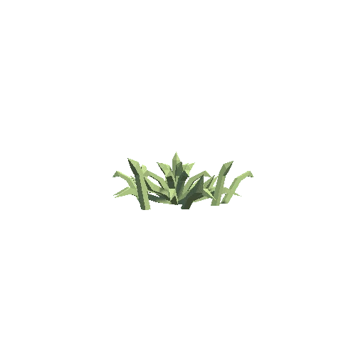 plant_2