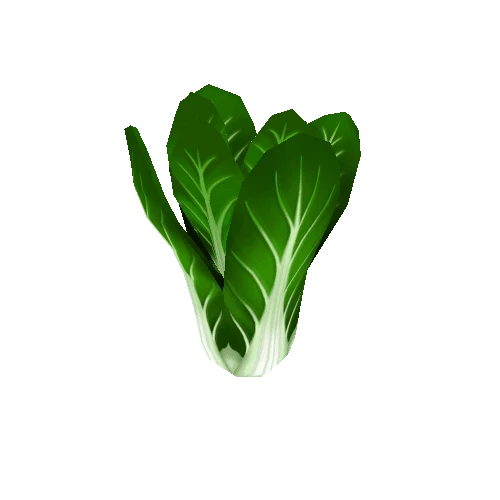 BokChoy_Large