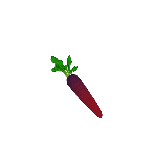 Carrot_Purple_Stem_01