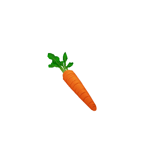 Carrot_Stem_01