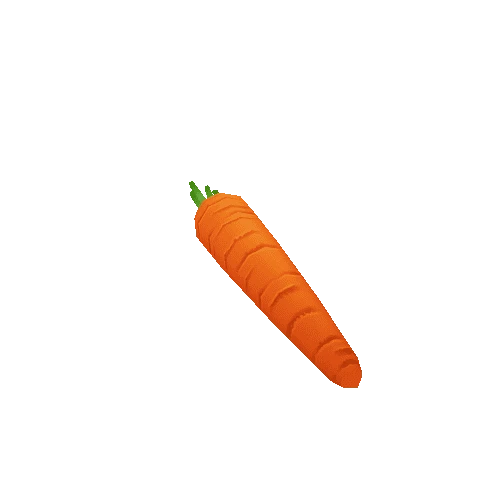 Carrot_Stem_02