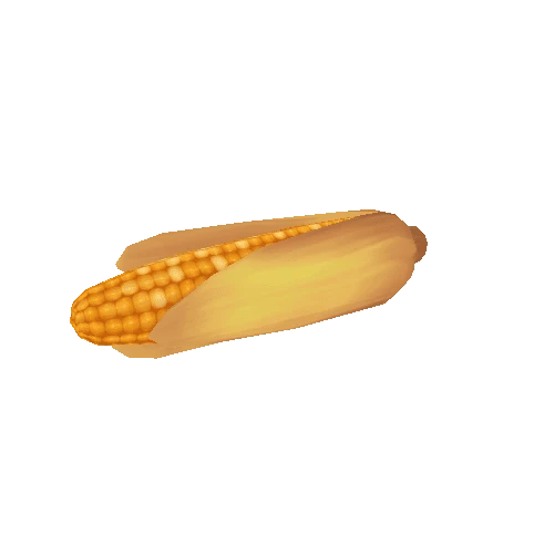 Corn_Yellow_Husk_02