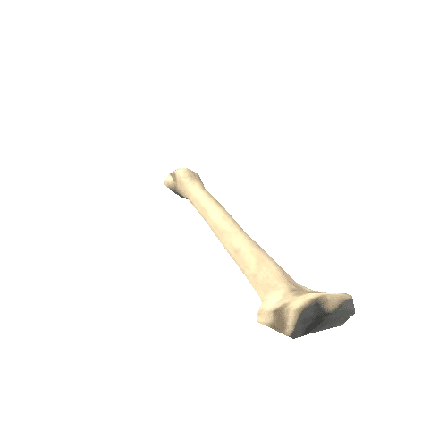 Bone_05