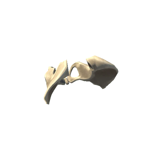 Bone_07