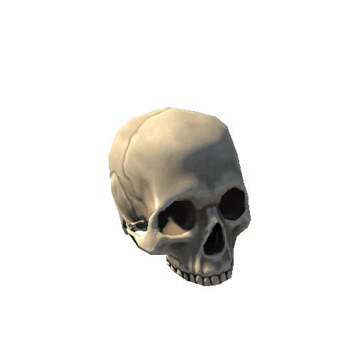 Bone_08