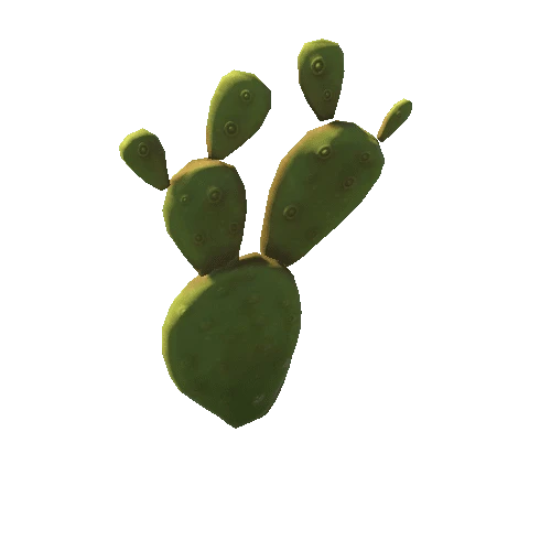 Cactus_Small_1