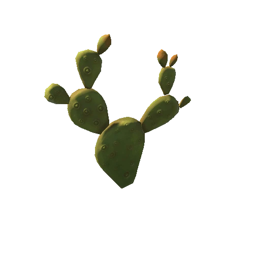 Cactus_Small_2