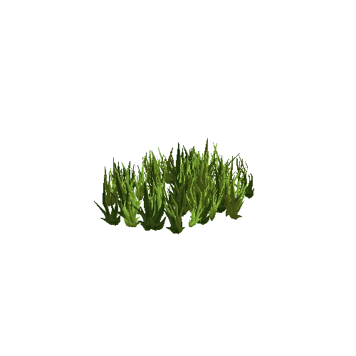 Grass_1