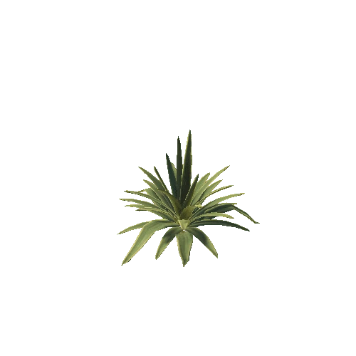 Plant_3