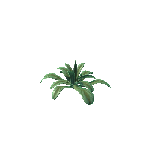 Plant_5