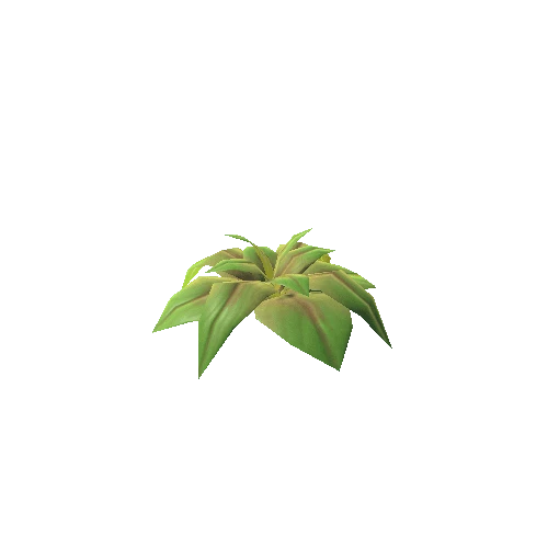 Plant_9