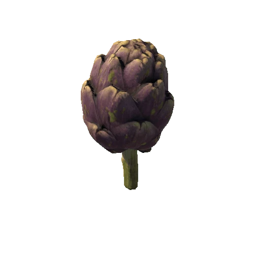 artichoke_FBX